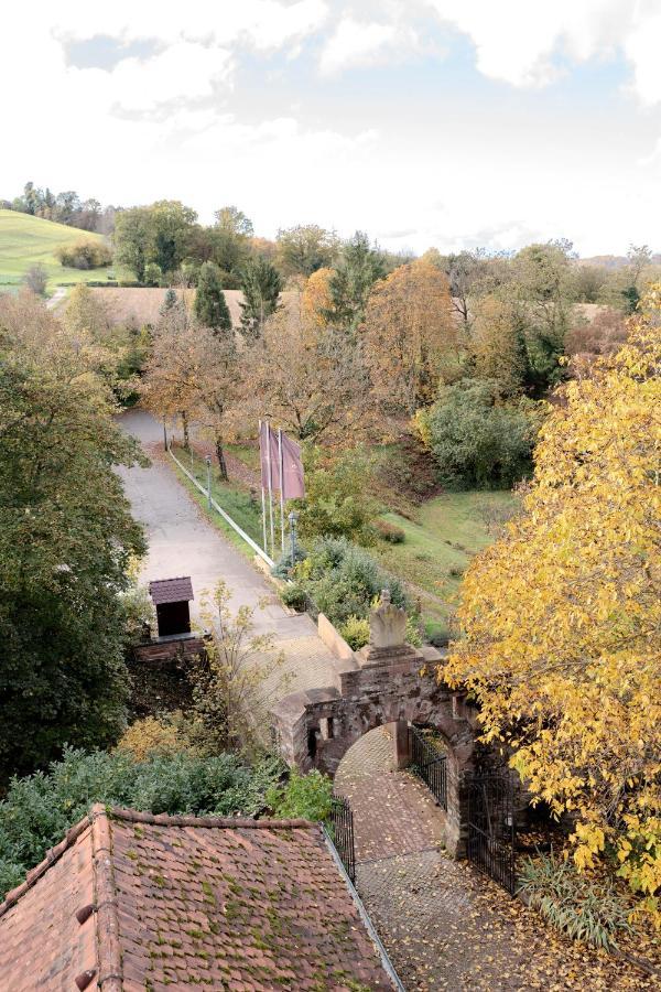 Eventlocation & Hotel Schloss Neuburg Obrigheim Bagian luar foto