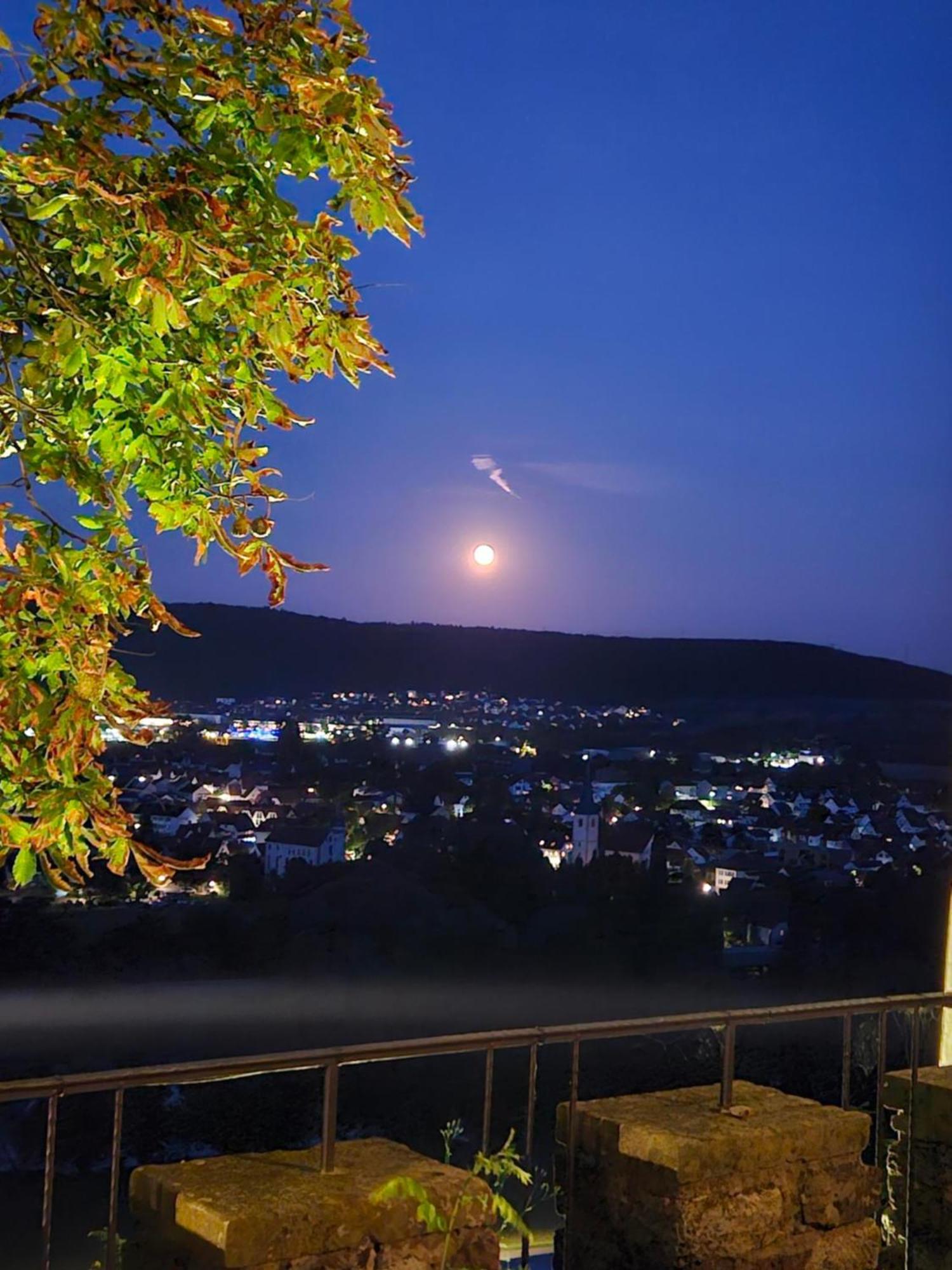Eventlocation & Hotel Schloss Neuburg Obrigheim Bagian luar foto